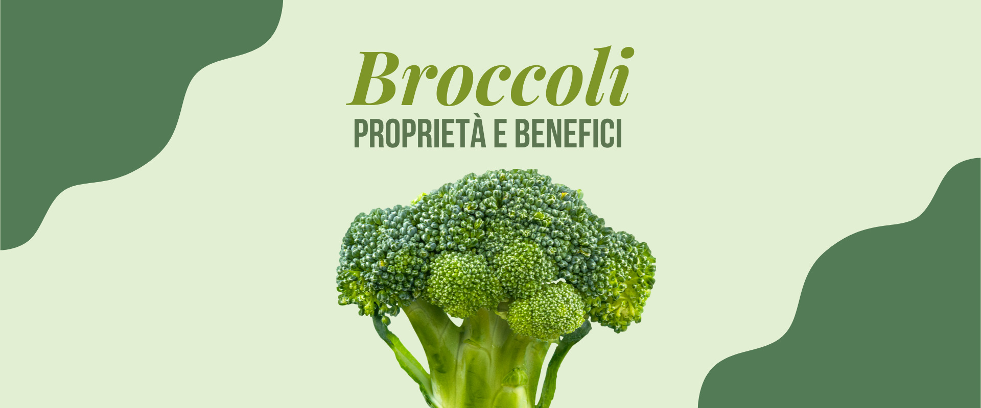 I broccoli, proprietà e benefici